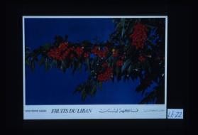 Fakihat Lubnan = fruits du Liban