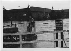 Jerry Tucker near the flooding Petaluma River, Petaluma, California, January 4, 1982