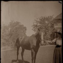 Woman with horse, house in the background