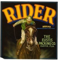Rider Brand
