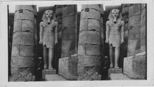 The well Preserved Statue of Ramesis II. Temple of Luxor, Egypt