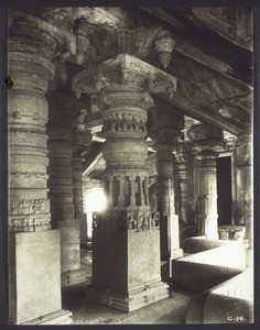 C 39. Pillar from South-West-Corner of Bhiraderi Mandapa, Chandranatha Jain Temple, Mudabidri S. Kanara