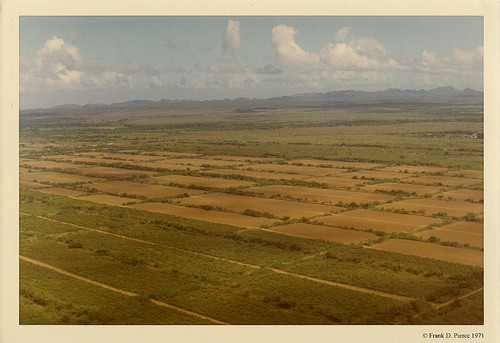 Banana Import Company, Dominican Republic, Pierce Photo 59, © 1971 Frank D. Pierce