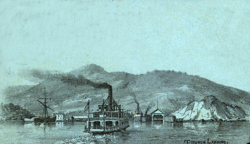View of Tiburon Landing in Tiburon, California, 1884 [illustration]