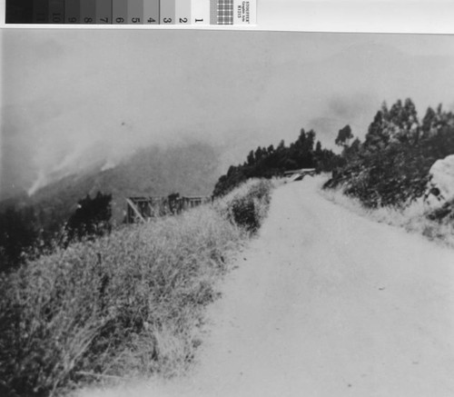 The 1929 fire on Mount Tamalpais