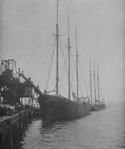 Ships at Newport Wharf, 1890