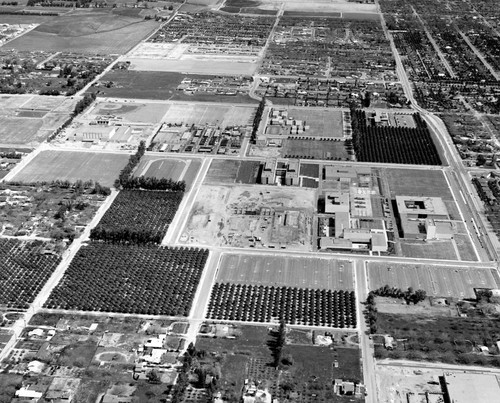 Campus of San Fernando Valley State College (now CSUN), Aerial View Looking East, March 11, 1962