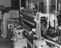 Workers at wine bottling plant