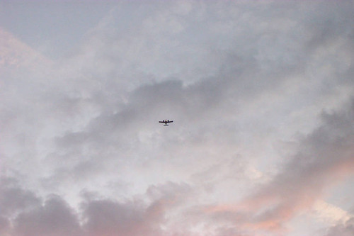 Airplane flies among clouds