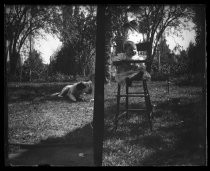 Baby outside on lawn in highchair, with dog