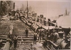 Loading logs on the train, Mendocino County