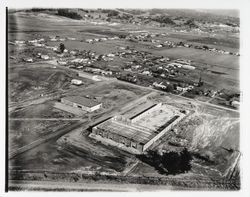 Aerial view of area around Coffey Lane, Santa Rosa, California, 1960