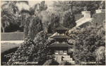 Japanese Gardens, Hollywood, Cal., 354