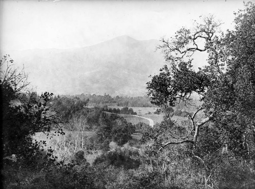 View of Griffith Park