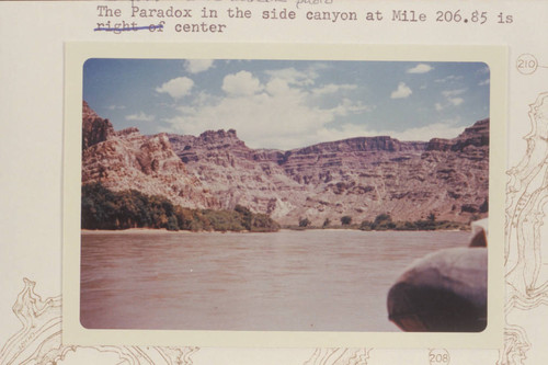 Up Cataract Canyon from approximately 206 1/2. Last week in June, 1960. The Paradox in the side canyon at Mile 206.85 is center