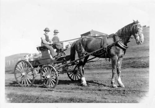 [Two boys riding on a horse drawn cart in Visitacion Valley]