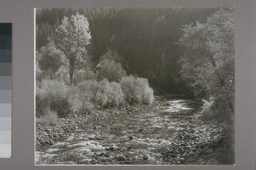 [Unidentified waterway. Downie River?] Downieville. 1954