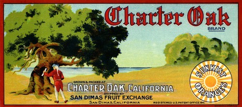 Charter Oak