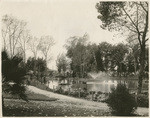 [Pond at McKinley Park, Sacramento]