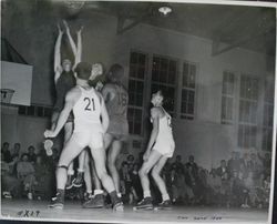 Analy High School Tigers basketball 1949--Analy vs Tamalpais