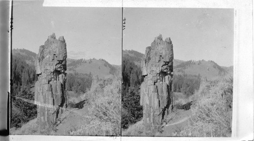 A Twenty Foot High Petrified Tree Stump, near Yancy's, Yellowstone Park