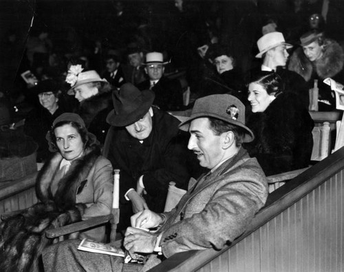 Mr. and Mrs. Walt Disney attending the Hollywood Bowl