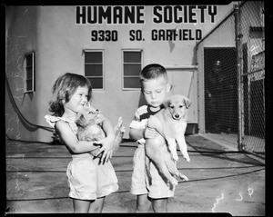 Society for the Prevention of Cruelty to Animals opening shelter at 9330 Garfield Avenue, South Gate, 1952