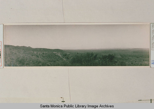 Panoramic aerial view of Santa Monica Canyon