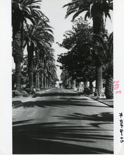 Los Angeles campus Promenade, circa 1979