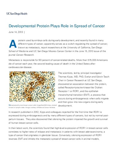 Developmental Protein Plays Role in Spread of Cancer