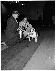 Glendale Dog Show, 1956