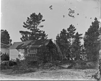 "Solid Comfort" tent cabin with trees, c. 1912