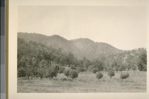 Mill Valley, near Dunlap; 1930; 24 prints, 8 negatives