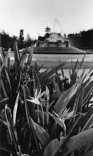 Mulholland Fountain in Los Feliz