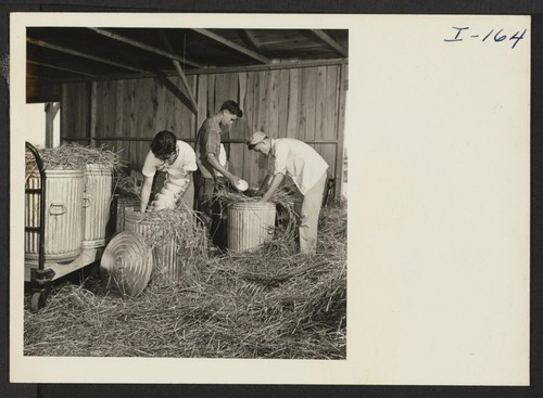Closing of the Jerome Center, Denson, Arkansas. Dishes from the thirty-three Jerome messhalls were packed in straw and placed in large G.I. Cans for shipment to other centers. The straw was purchased at a nearby farm. Photographer: Iwasaki, Hikaru Denson, Arkansas