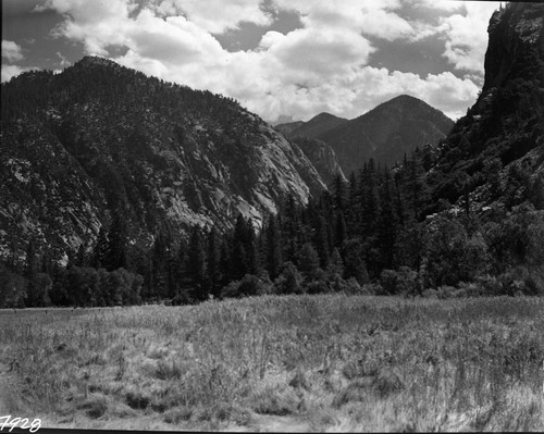 Meadow Studies, unharmed meadow, Field notebook pg 1104. South Fork Kings River Canyon