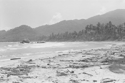 Debris on the beach, Tayrona, Colombia, 1976
