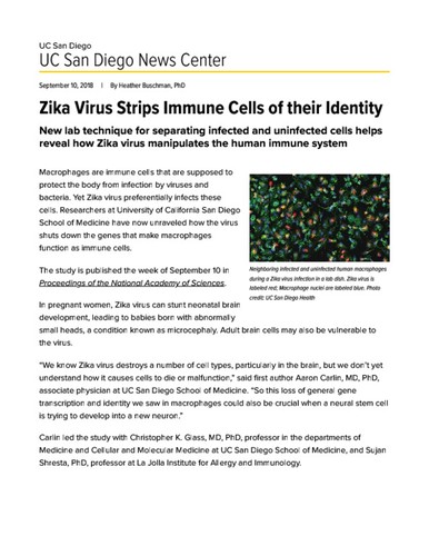 Zika Virus Strips Immune Cells of their Identity