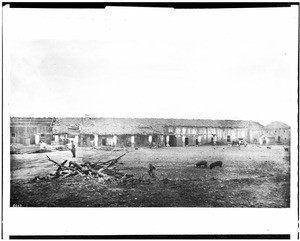 Exterior view of the Mission San Miguel shown from the rear, with pigs, ca.1900