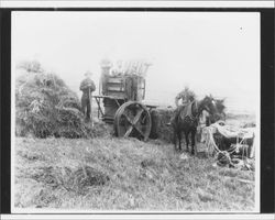 Men with hay baling equipment, Petaluma, California, about 1895