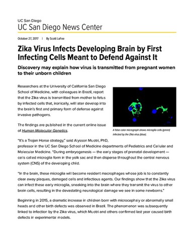 Zika Virus Infects Developing Brain by First Infecting Cells Meant to Defend Against It