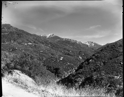 Alta Peak and Middle Fork Kaweah River Canyon. Chaparral Plant Community