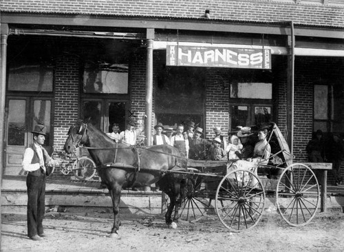 Mayfield's Harness Shop
