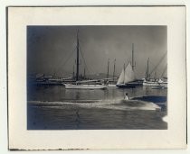 Sailboats in a harbor, San Francisco Bay