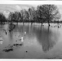 Flood of 1940