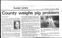 County weighs pig problem