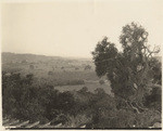 Looking towards Goleta, 1934