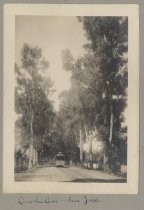 Photo from the Von Dorsten family album. Lincoln Avenue, San Jose