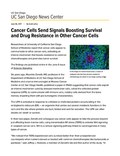 Cancer Cells Send Signals Boosting Survival and Drug Resistance in Other Cancer Cells