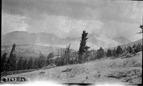 High Sierra Trail Investigation, north from saddle between Wallace Creek and Crabtree Meadow, elevation 11,200 showing the light slope. Subalpine Forest Plant Community